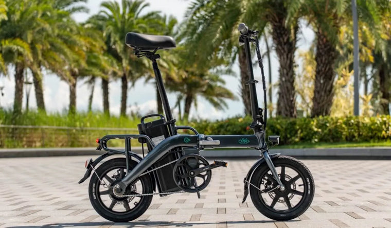 Fiido L3 elektrische fiets geparkeerd langs de weg.