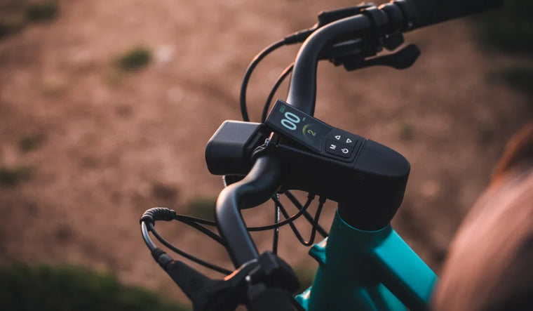 Een man controleert of de stuurhoogte van de Fiido elektrische fiets C21 geschikt is voor hem.