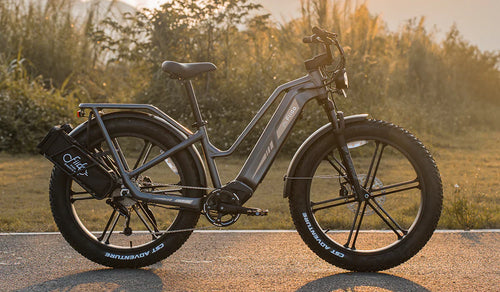 Fiido Titan E-bike