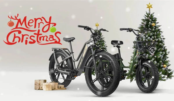 Winter Ebike Onderhoudsgids