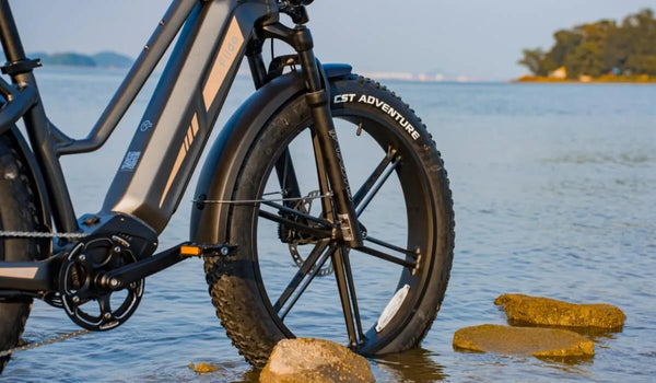 De Fiido Titan elektrische fiets wordt getoond met 26-inch banden.