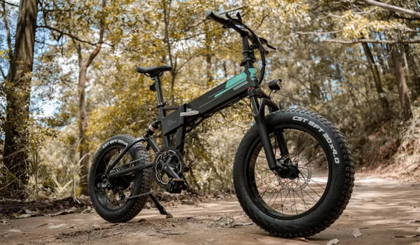 Fiido off-road e-bike met dikke banden.