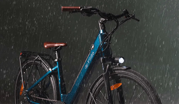 Fiido C11 Pro elektrische fiets regentestfoto