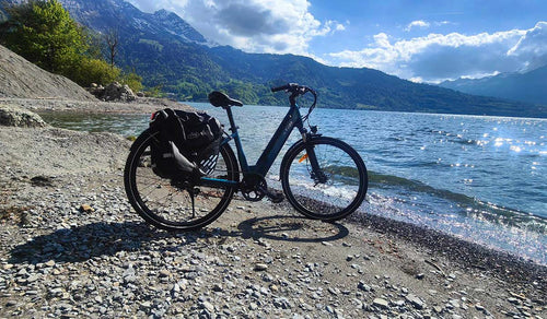 Fiido C11 elektrische fiets geparkeerd bij het meer