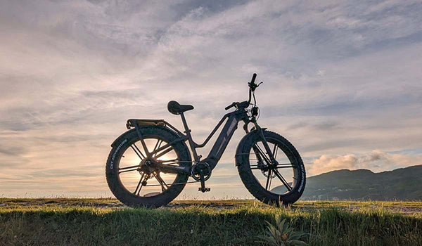 De Fiido Titan e-bike bij zonsondergang, klaar voor elk terrein.