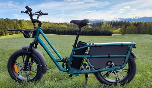 Fiido T2, elektrische fiets met een robuust frame, ideaal voor buitengebruik.