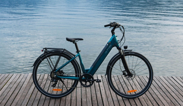 Een lichte elektrische fiets Fiido C11 Pro stond tijdelijk geparkeerd bij het meer.