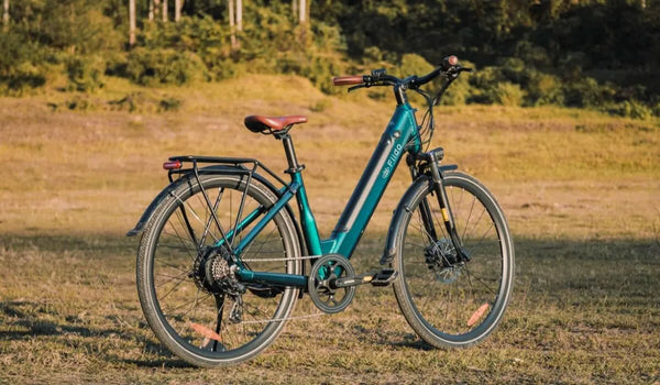 Een Fiido C11 elektrische fiets stond tijdelijk geparkeerd langs de weg.