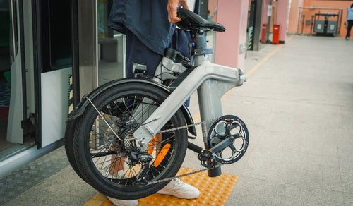 2025 Cadeaugids: Fiido Mini E-Bikes die Iedereen Zal Liefhebben