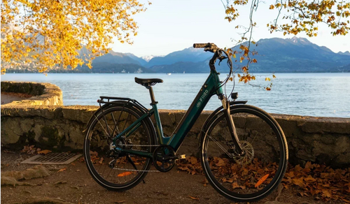 E-bikeframe: aluminium vs staal vs carbon vs titanium