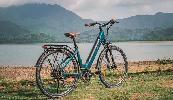 Een Fiido C11 Pro elektrische fiets staat tijdelijk geparkeerd aan de oever van het meer.