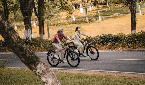 Twee fietsers op Fiido Nomads Pro touring-e-bikes op een stadsweg