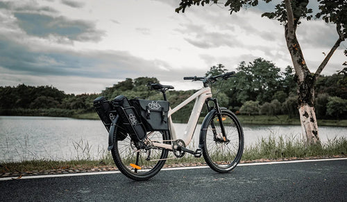 Fiido Nomads toerfiets geparkeerd aan het meer