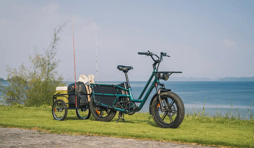 Fiido T2 elektrische fiets met lange staart geparkeerd aan het meer
