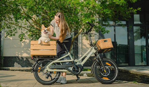 Fiido T3 elektrische bakfiets die een huisdier vervoert