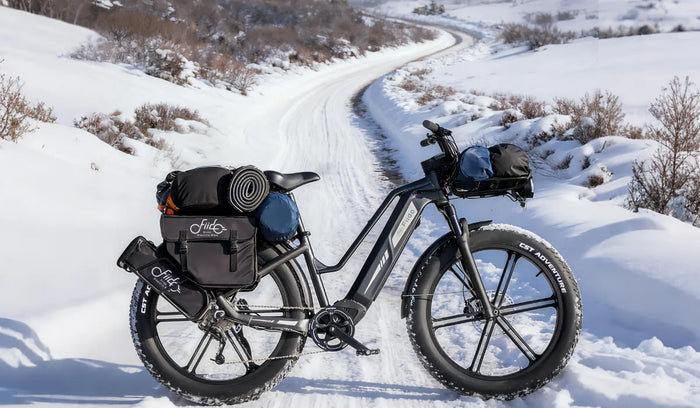 Een Fiido Titan fat tire e-bike geplaatst in de sneeuw.