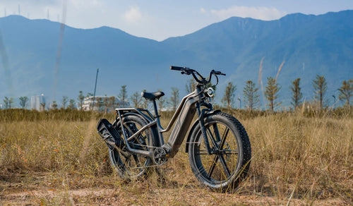 Een Fiido Titan jacht-e-bike staat tijdelijk langs de weg geparkeerd.