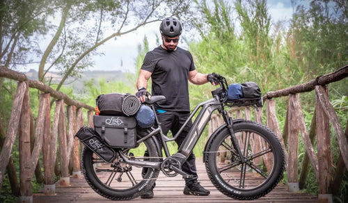 Fiido elektrische fietsaccu met 21700 lithium-ioncellen