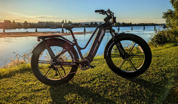 Fiido Titan elektrische fiets geparkeerd bij het meer
