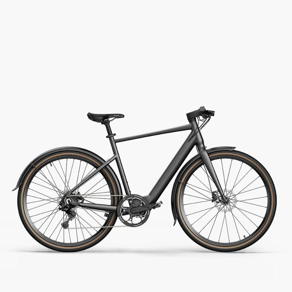 Fiido C21 E-gravel & stads-e-bike