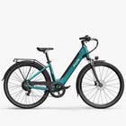 Fiido C11 Urban Lichtgewicht Elektrische Fiets
