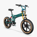 Fiido M1 Pro Fatbike Elektrische Crossfiets