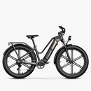 Titan Fat Tire Touring E-bike - Lange actieradius