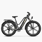 Titan Fat Tire Touring E-bike - Lange actieradius