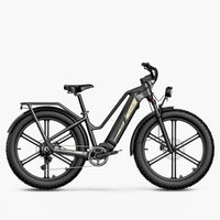Titan Fat Tire Touring E-bike - Lange actieradius