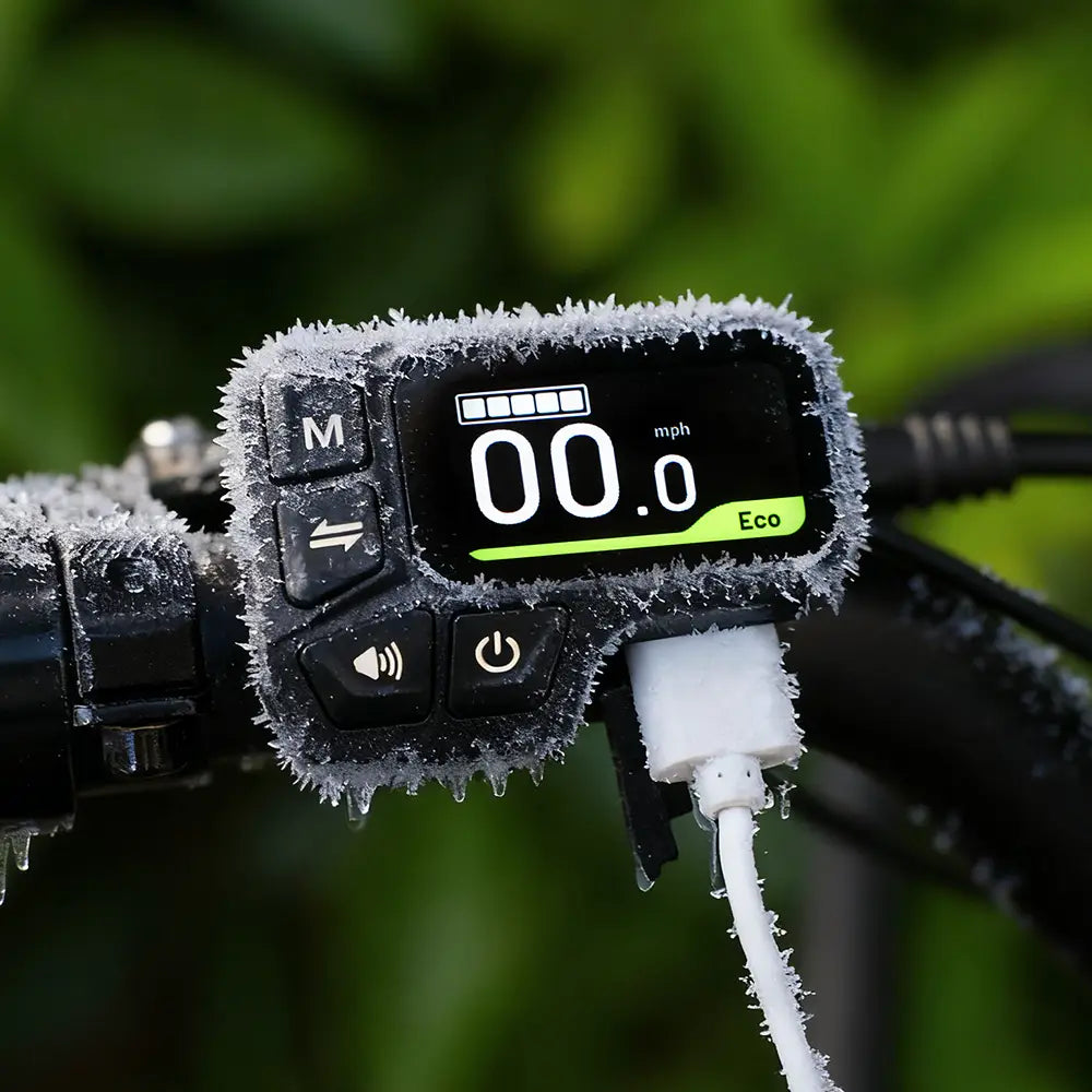 Fiido T2 Longtail Elektrische Bakfiets