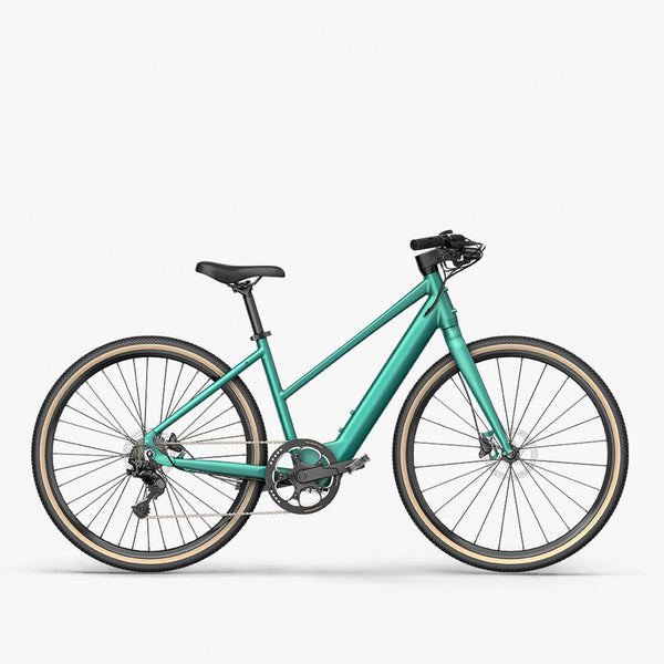 Fiido E-Gravel C22 Elektrische Fiets