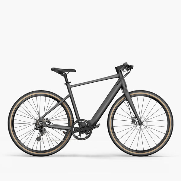 Fiido E-Gravel C21 Elektrische Fiets