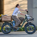 Fiido T1 Pro Fatbike Elektrische Bakfiets