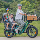 Fiido T2 Longtail Elektrische Bakfiets