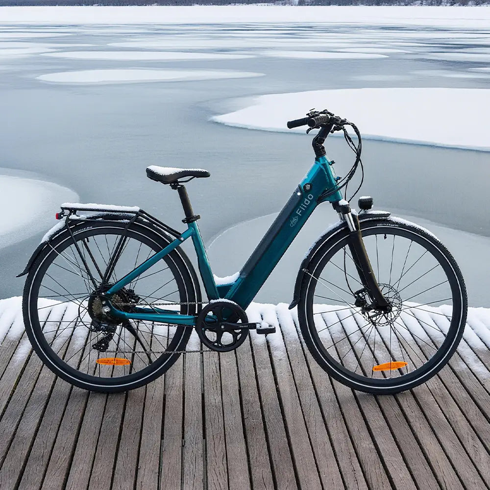 Fiido C11 Urban Lichtgewicht Elektrische Fiets