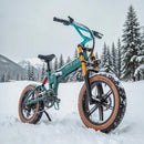 Fiido M1 Pro Fatbike Elektrische Crossfiets