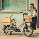 Fiido T3 stedelijke elektrische gezinsbakfiets