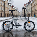 Fiido D11 Elektrische Vouwfiets