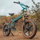 Fiido M1 Pro Fatbike Elektrische Crossfiets