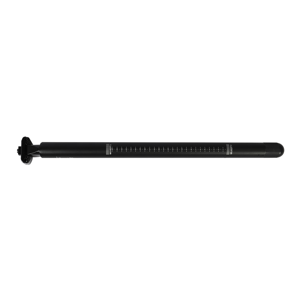 Fiido Bike Pump Seatpost