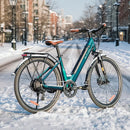 Fiido C11 Pro Urban Lichtgewicht Elektrische Fiets