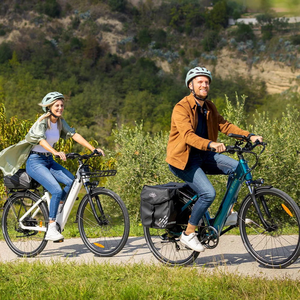 Fiido C11 Urban Lichtgewicht Elektrische Fiets