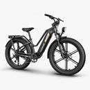 Titan Fat Tire Touring E-bike - Lange actieradius