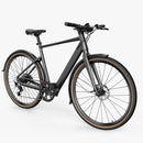 Fiido C21 E-Gravel & Stads-E-Bike
