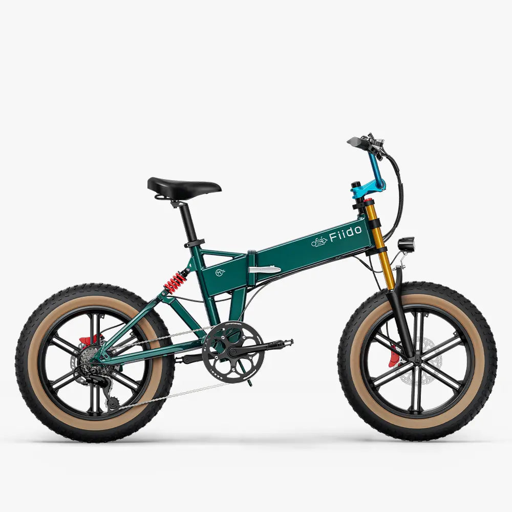 Fiido M1 Pro Fatbike Elektrische Crossfiets