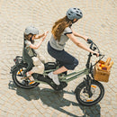 Fiido T3 stedelijke elektrische gezinsbakfiets