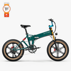 Fiido M1 Pro Fatbike Elektrische Crossfiets