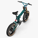 Fiido M1 Pro Fatbike Elektrische Crossfiets