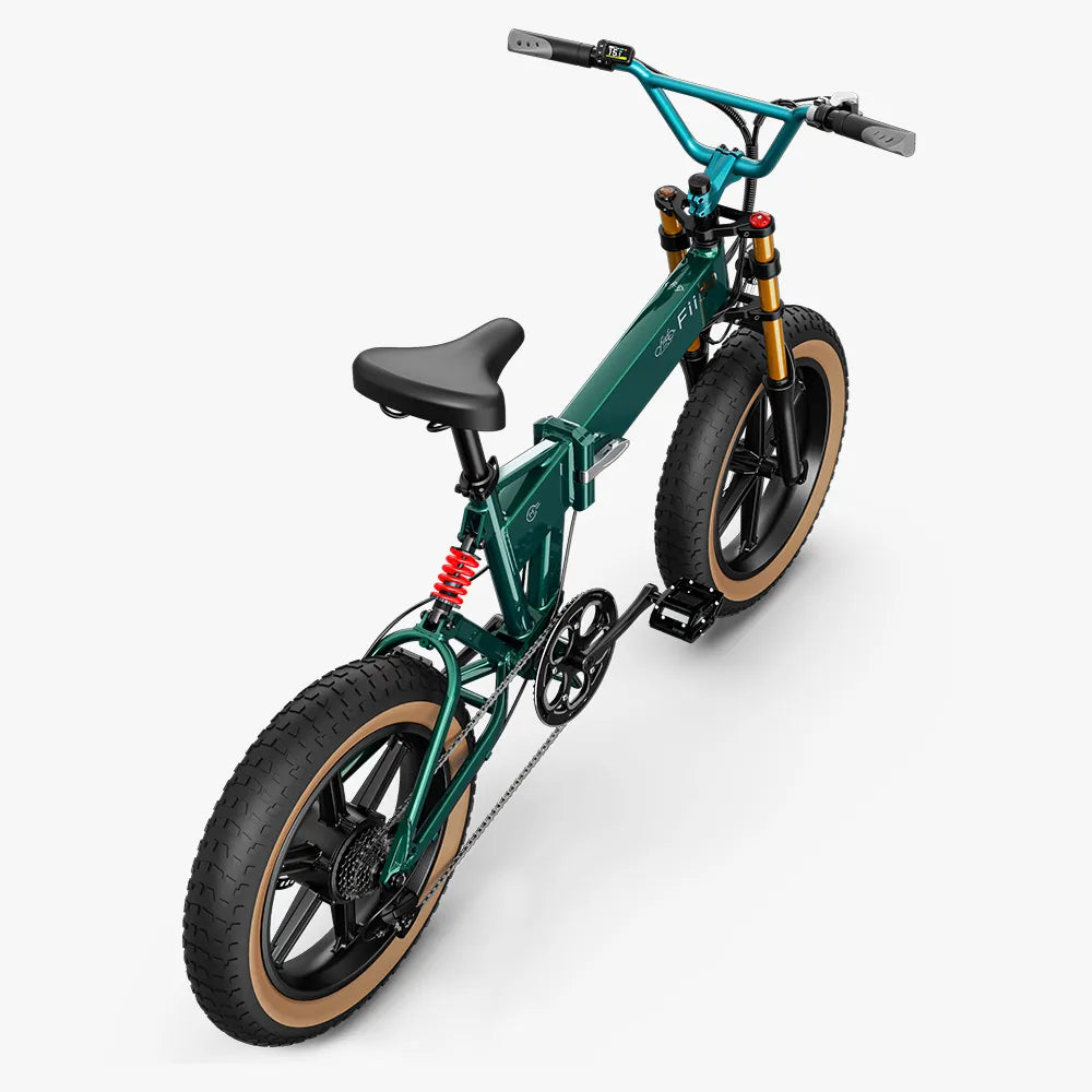 Fiido M1 Pro Fatbike Elektrische Crossfiets