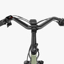 Fiido T3 stedelijke elektrische gezinsbakfiets